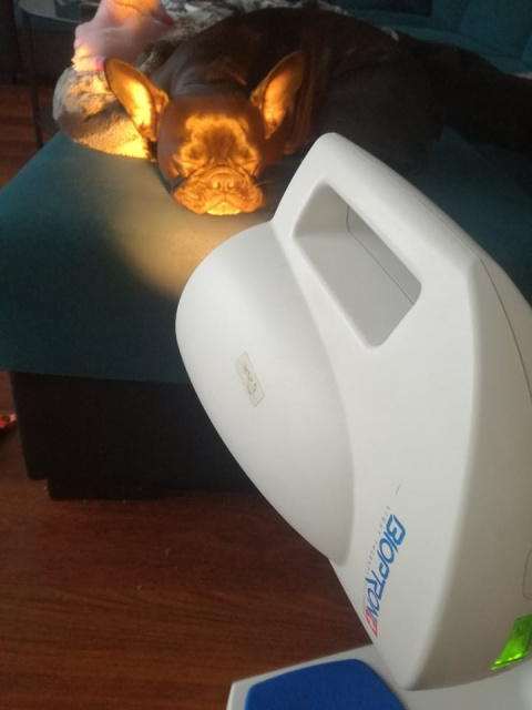 Lampa BIOPTRON Pro 1 Zepter GRATIS z Filtrem Fulerenowym + statyw stołowy + 7 Filtrów Koloroterapii Lampa BIOPTRON Pro 1 Zepter GRATIS z Filtrem Fulerenowym + statyw stołowy + 7 Filtrów Koloroterapii